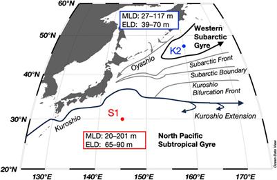 Mesopelagic particulate nitrogen dynamics in the subarctic and subtropical regions of the western North Pacific